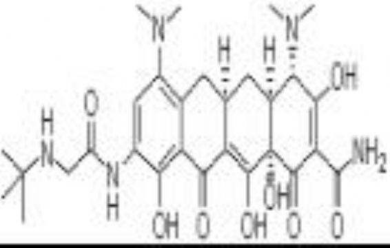 Tigecycline